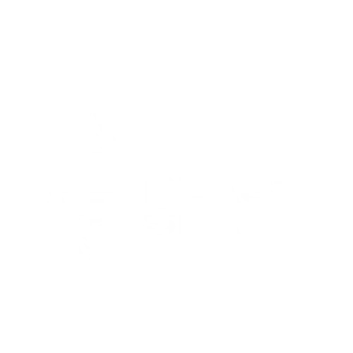 DOTA2 LOGO BCO