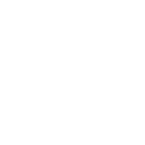 PUBG 2 AMERICA